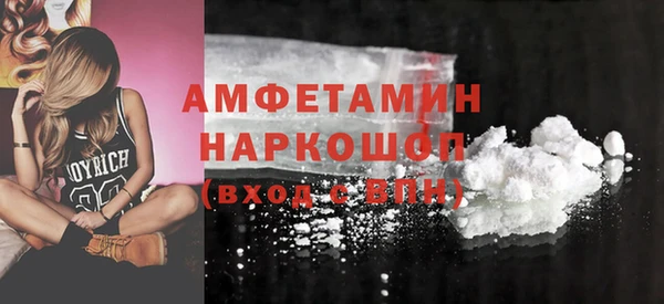 шишки Аркадак