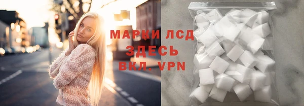 шишки Аркадак