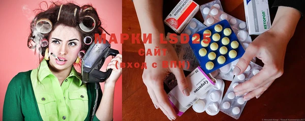 шишки Аркадак